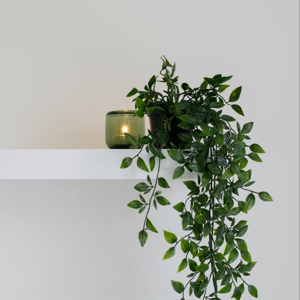 •SOLD BEYOND THIS POST• - Picture 1 of 1